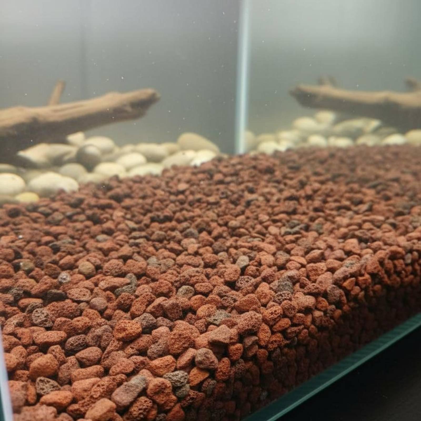 Aquarium Plant Roots - Batu Lava untuk Dekorasi Akuarium, Batu