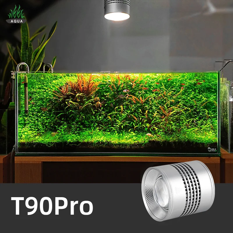 Aquarium Plant Not Growing - Minggu Aqua T Series T90 Pro