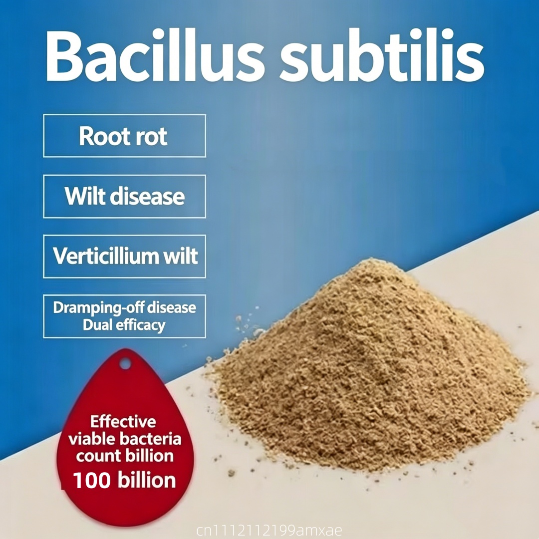 Aquarium Plant Roots - Bubuk Bacillus Subtilis Aktivitas Tinggi Pupuk