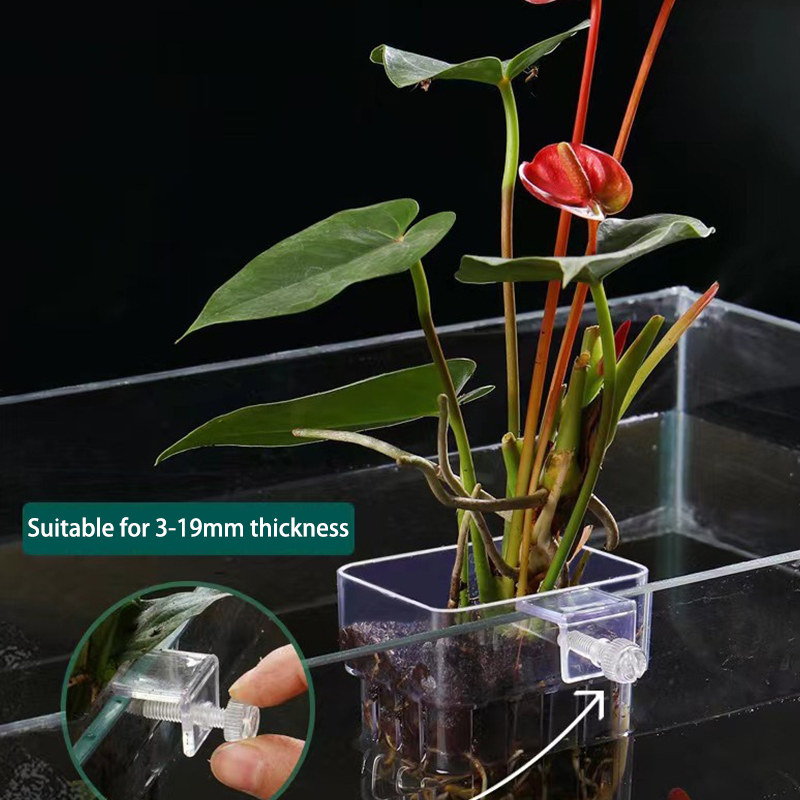 Aquarium For Planted Tank - Akuarium ikan multifungsi cangkir penanaman rumput