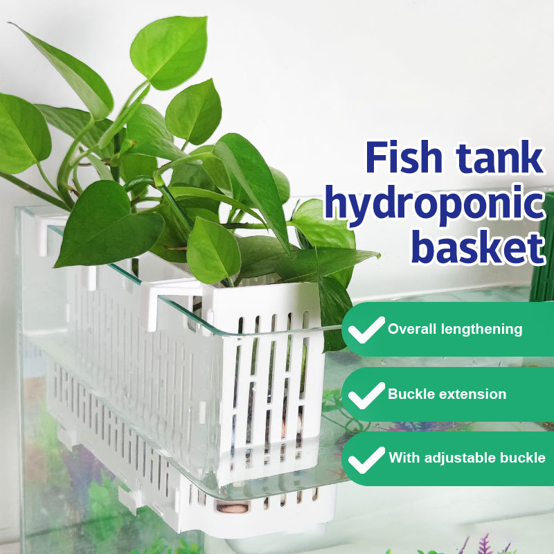 Aquarium For Planted Tank - 【F】Wadah Tanaman Gantung untuk Akuarium, Tempat