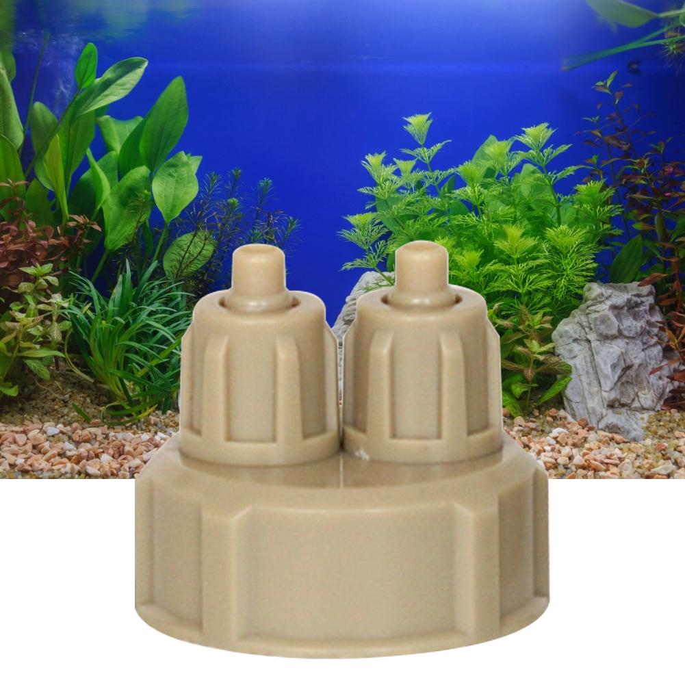 Aksesoris Karbon Dioksida, Kat - Aquarium Plant Live ulasan dan harga