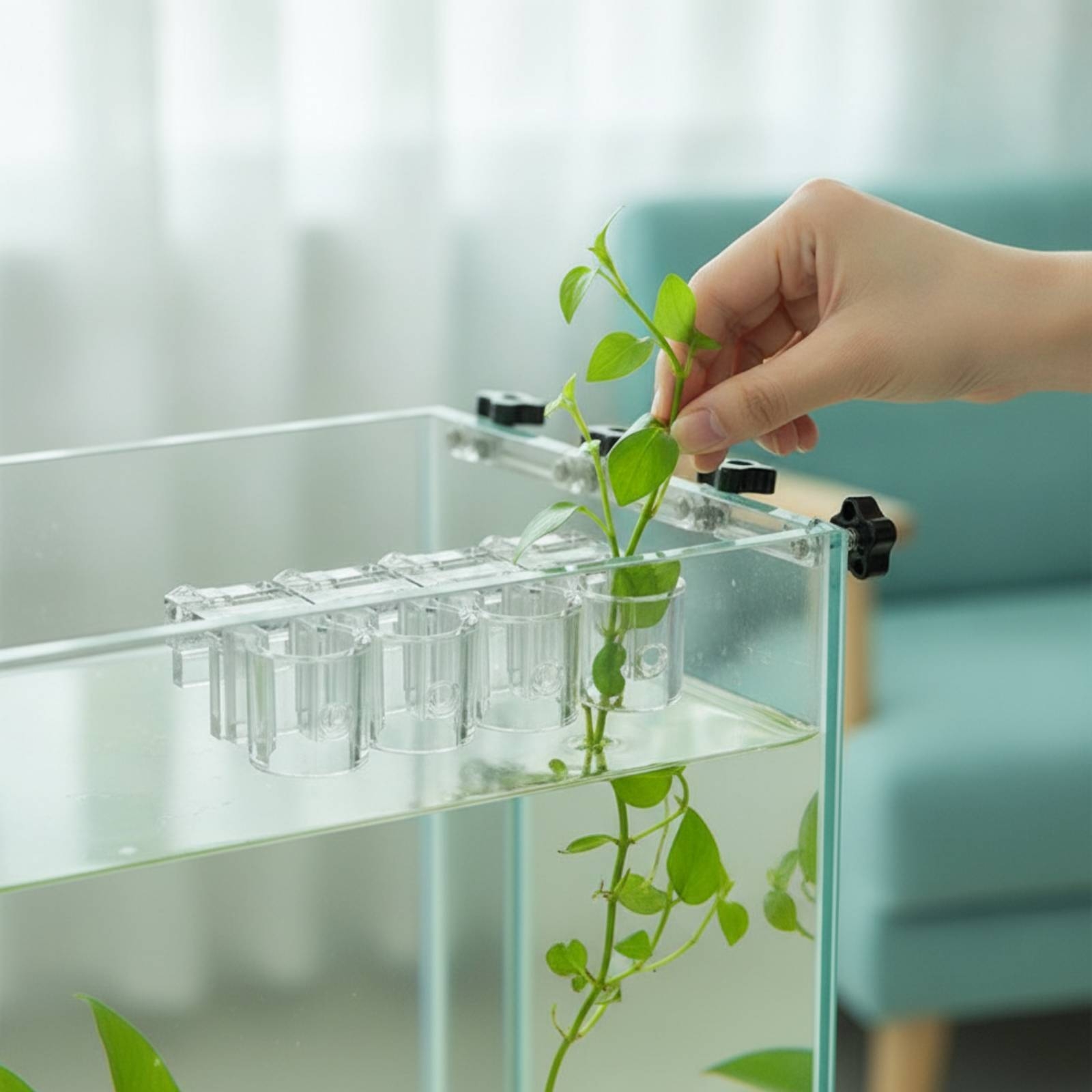 6 Buah Penjepit Penyangga Hidr - Aquarium Planting ulasan dan harga