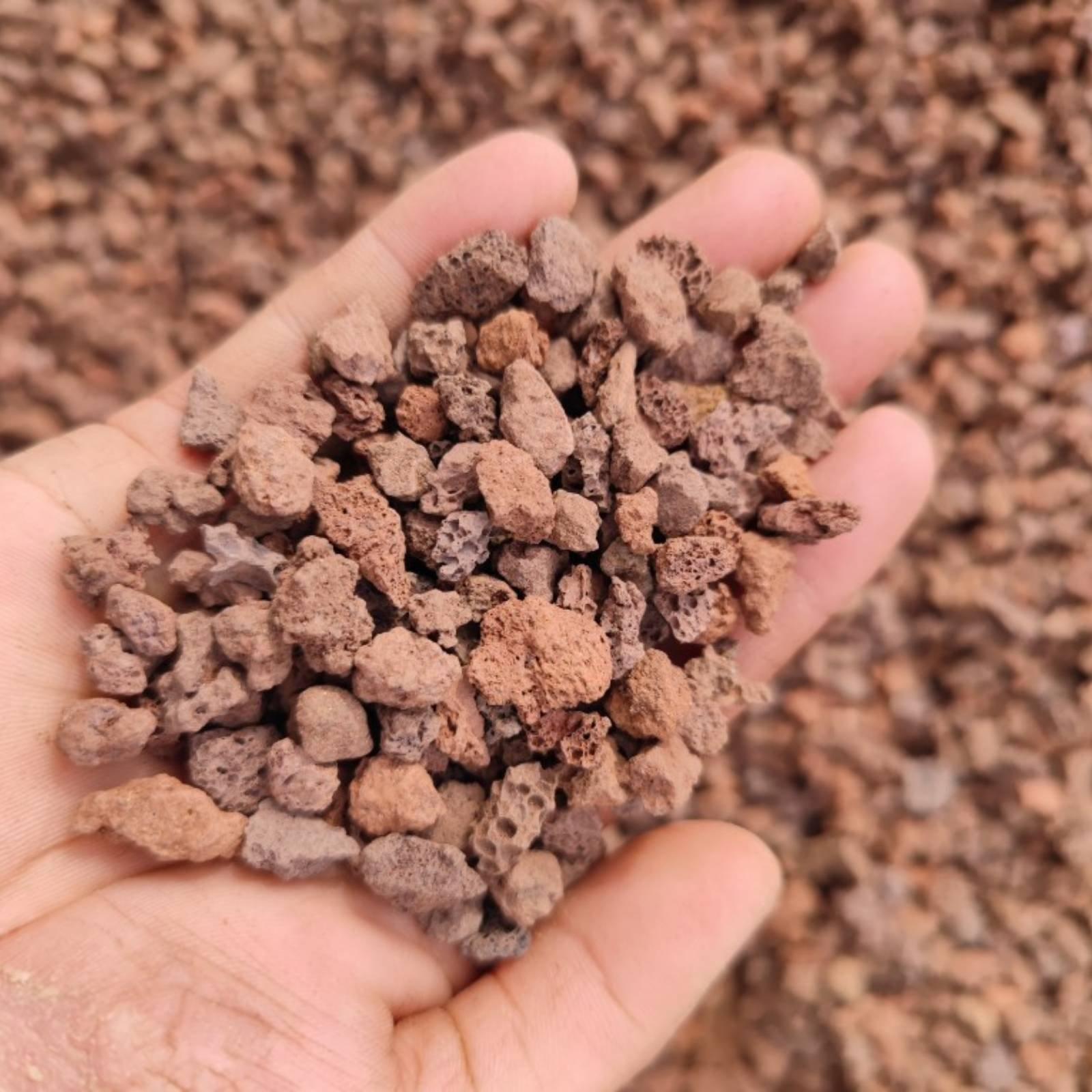 Batu Lava untuk Dekorasi Akuar - Aquarium Plant Roots ulasan dan harga