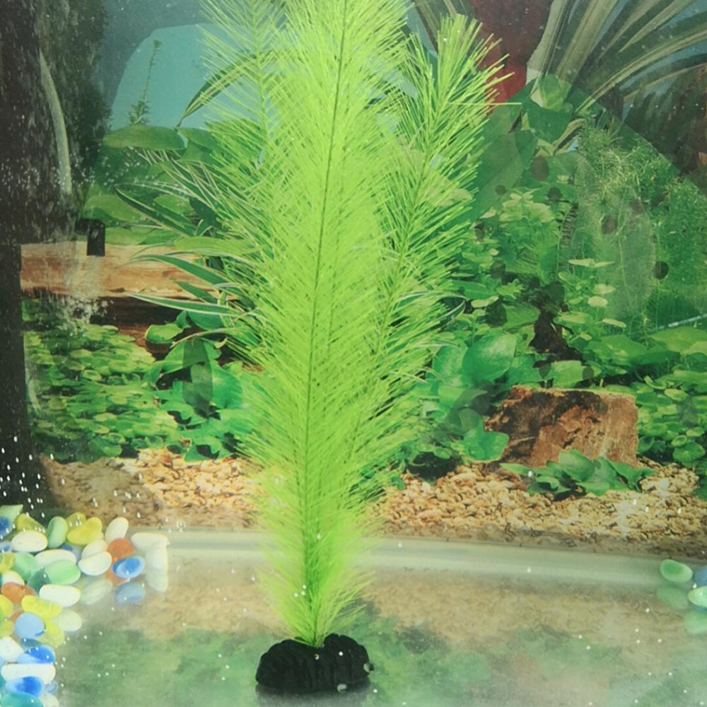 1/3 buah 28-40 cm tangki ikan  - Aquarium Plant Live ulasan dan harga