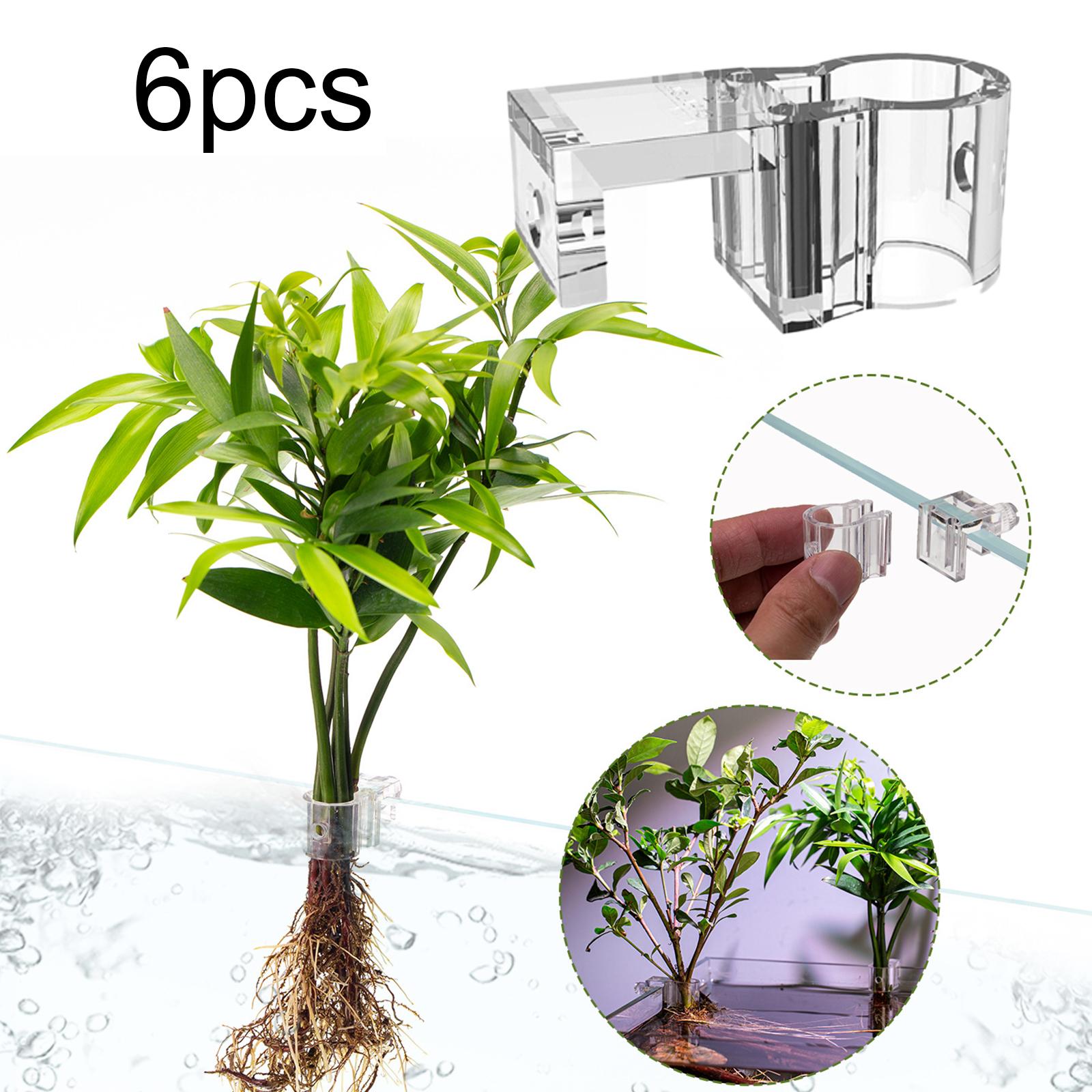 Rak Tanaman Akuarium Transpara - Aquarium Planted Setup ulasan dan harga
