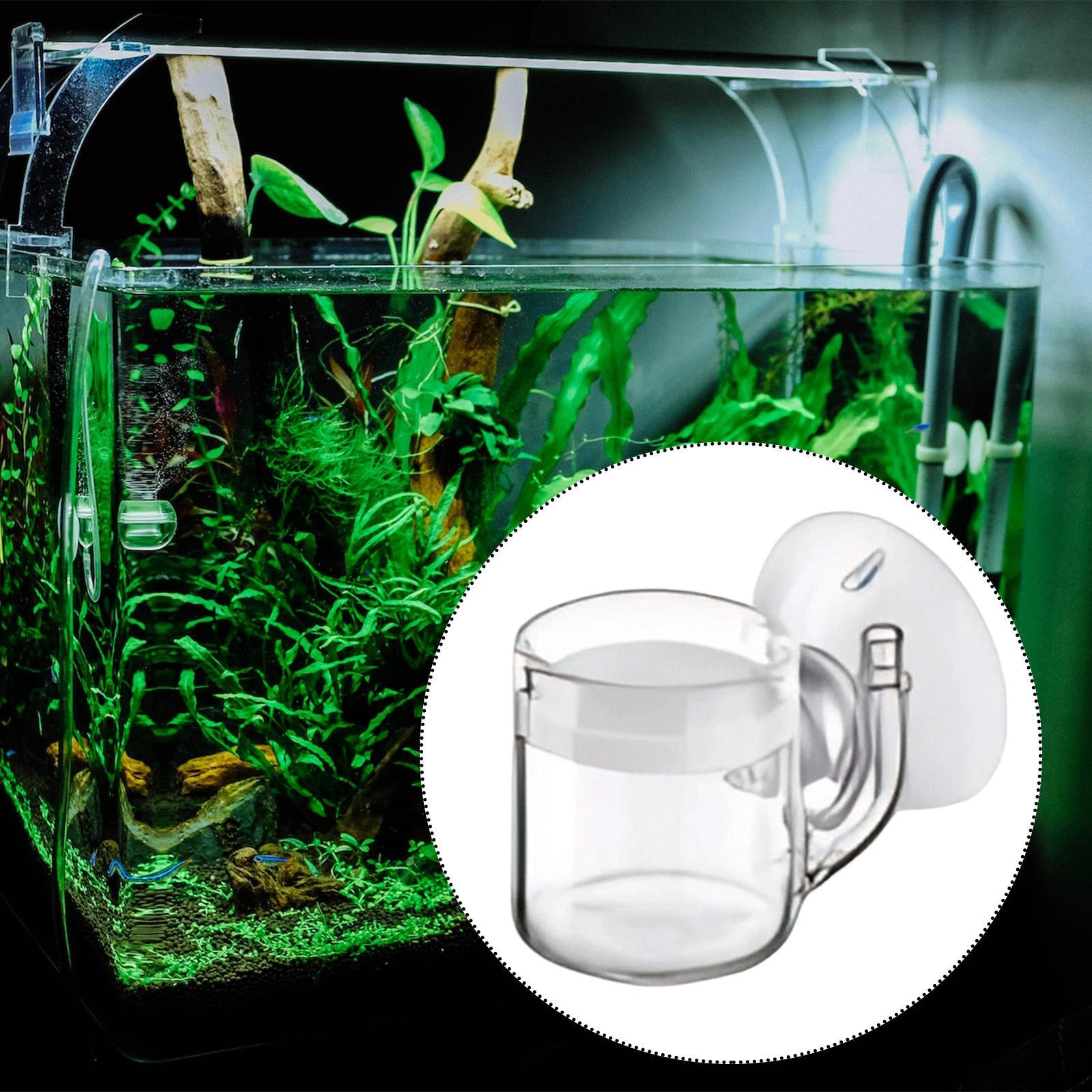 Diffuser Akuarium CO2 Bahan Ka - Aquarium Planted Setup ulasan dan harga