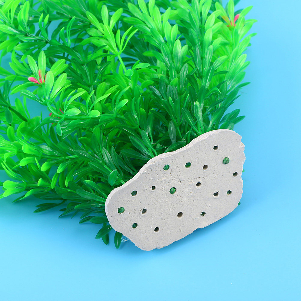 Tanaman Akuarium Plastik 70Cm, - Non Planted Aquarium Fish ulasan dan harga