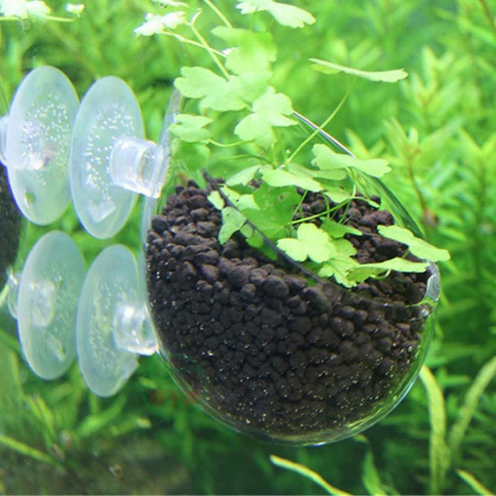 Tempat Tanaman Akuarium Kaca d - Aquarium Plant Gel ulasan dan harga