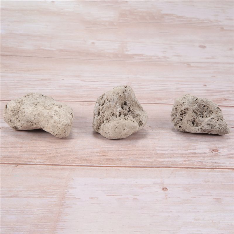 AS60-3Pcs Batu Apung Asli untu - Planted Aquarium Models ulasan dan harga