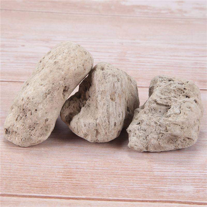 AS60-3Pcs Batu Apung Asli untu - Planted Aquarium Models ulasan dan harga