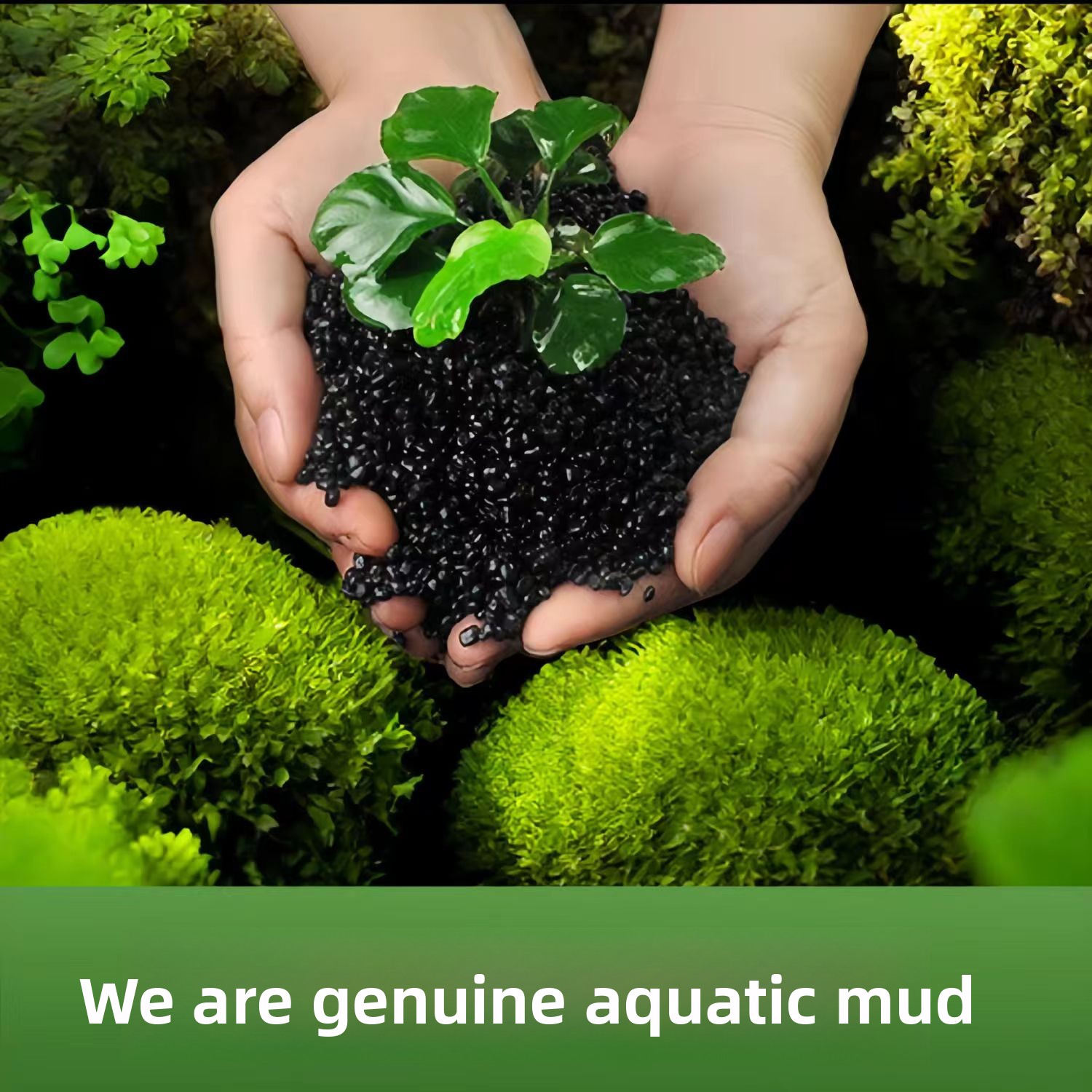 Tanah Liat Hitam untuk Dekoras - Non Planted Aquarium Fish ulasan dan harga