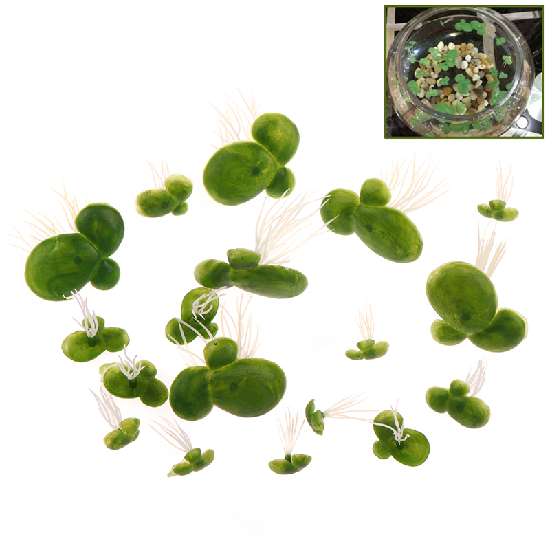 18 buah/set dekorasi tangki ik - Aquarium Plant Roots ulasan dan harga