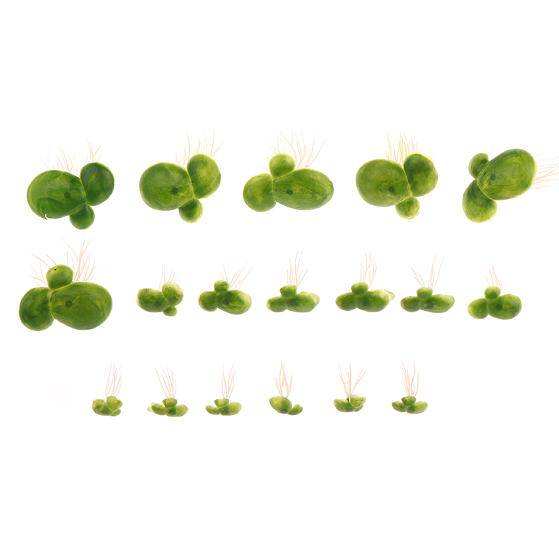 18 buah/set dekorasi tangki ik - Aquarium Plant Roots ulasan dan harga
