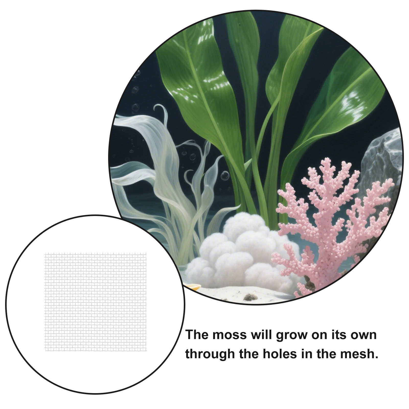 12 buah jaring kawat baja taha - Aquarium Planted Setup ulasan dan harga
