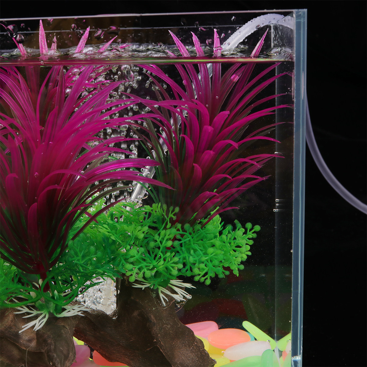 Tanaman Akuarium Buatan yang R - Non Planted Aquarium Fish ulasan dan harga