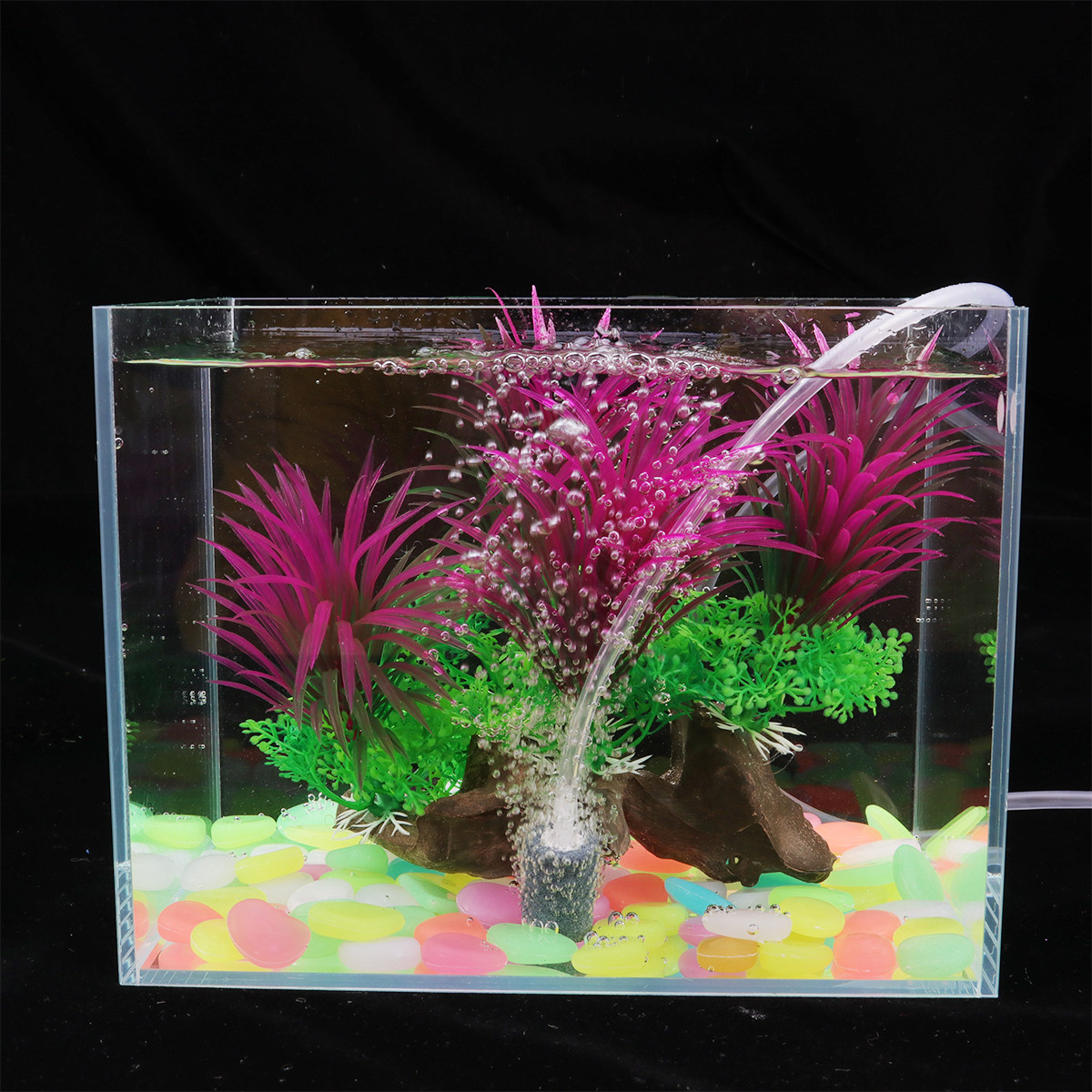 Tanaman Akuarium Buatan yang R - Non Planted Aquarium Fish ulasan dan harga