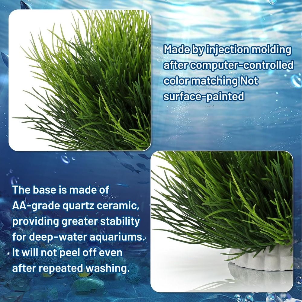 Tanaman Akuarium Buatan yang T - Non Planted Aquarium Fish ulasan dan harga