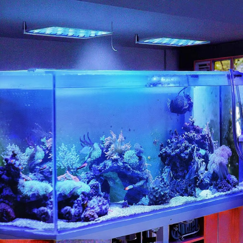 Lampu LED Akuarium 165W Dimmab - Planted Aquarium Models ulasan dan harga