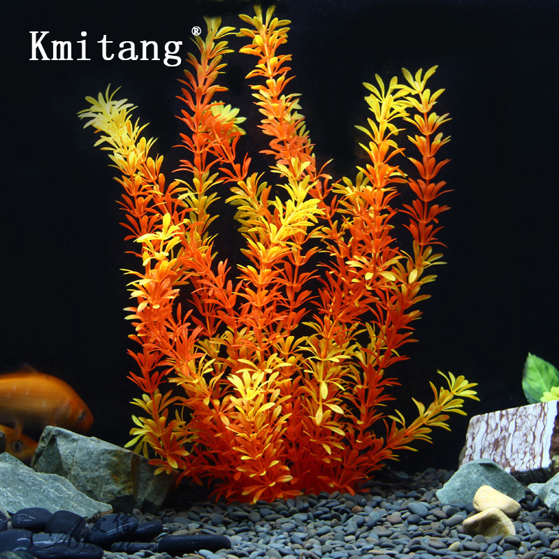 Tanaman Tropis 100cm, Rumput A - Aquarium Plant Roots ulasan dan harga