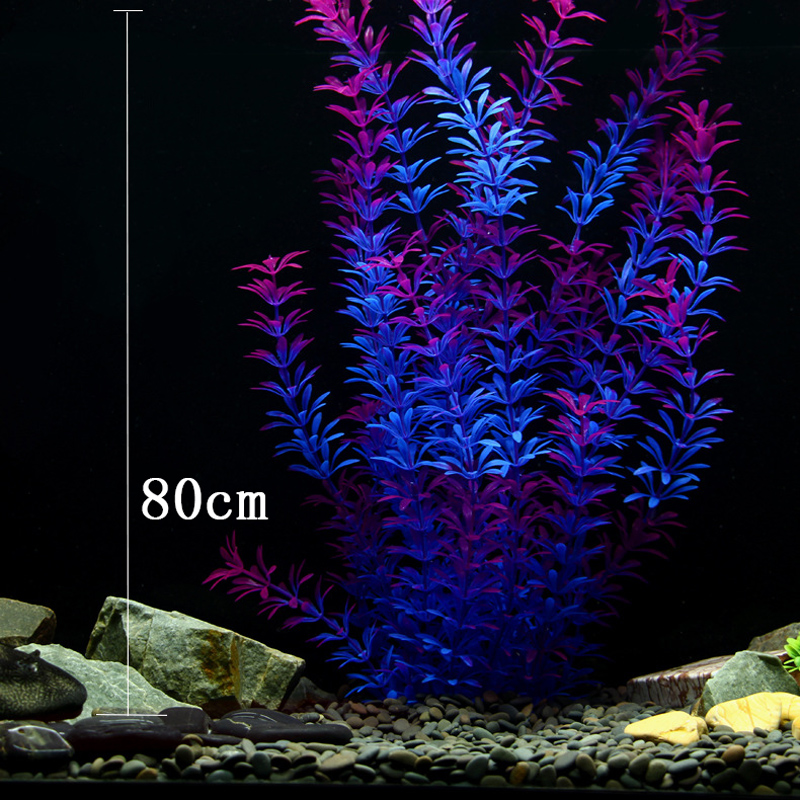 Tanaman Tropis 100cm, Rumput A - Aquarium Plant Roots ulasan dan harga