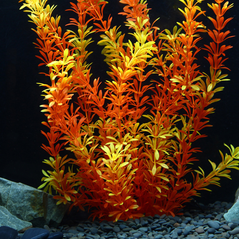 Tanaman Tropis 100cm, Rumput A - Aquarium Plant Roots ulasan dan harga