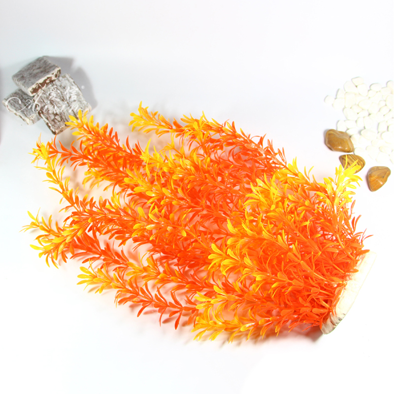Tanaman Tropis 100cm, Rumput A - Aquarium Plant Roots ulasan dan harga