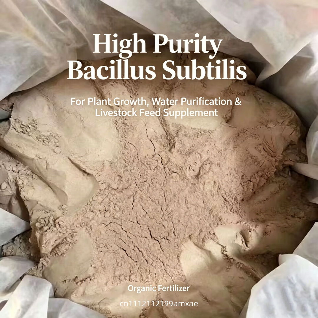 Bubuk Bacillus Subtilis Aktivi - Aquarium Plant Roots ulasan dan harga