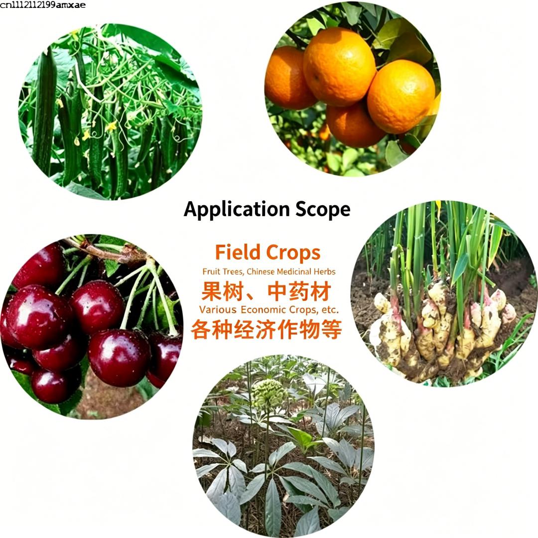 Bubuk Bacillus Subtilis Aktivi - Aquarium Plant Roots ulasan dan harga