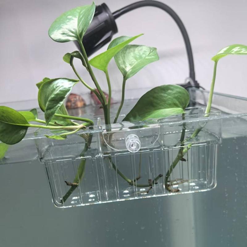 Keranjang Tanaman Hidroponik,  - Aquarium Planting ulasan dan harga