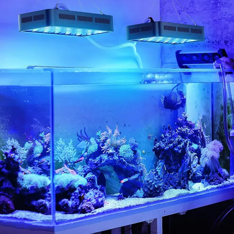 Lampu LED Akuarium Tanaman Ter - Planted Aquarium Models ulasan dan harga