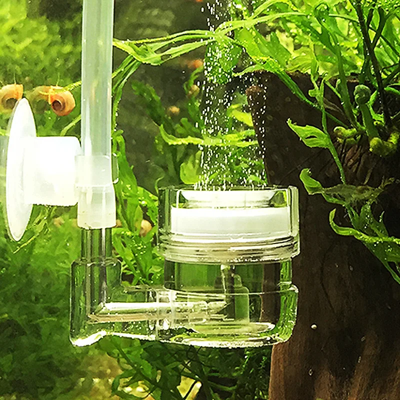 Reaktor Gelembung Tangki Kaca  - Aquarium Plant Live ulasan dan harga