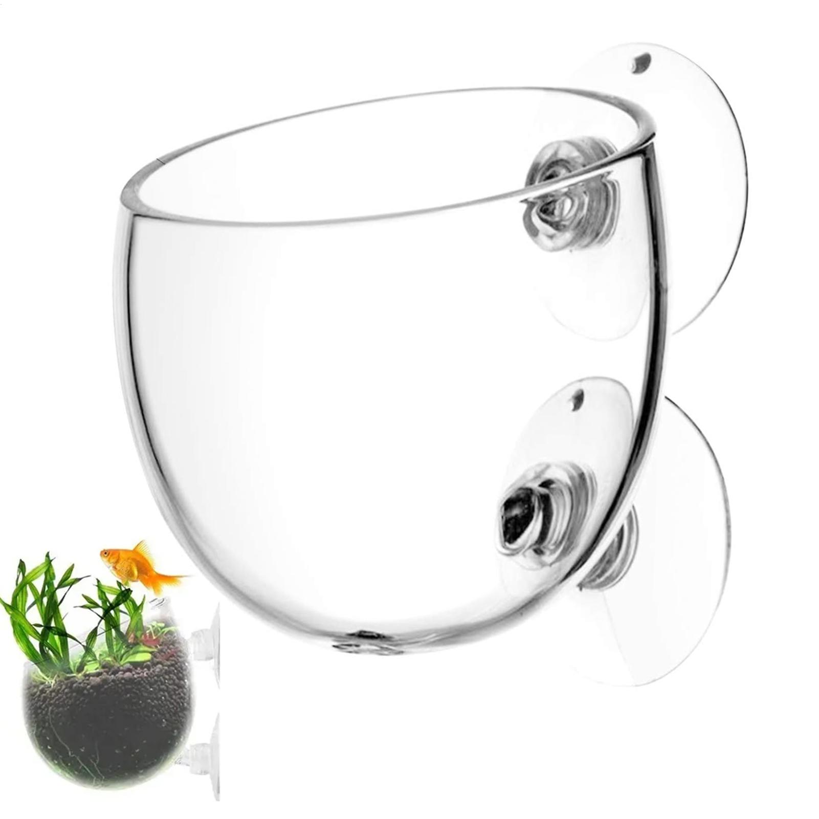 Pot Tanaman Kaca Akuarium deng - Aquarium Plant Gel ulasan dan harga
