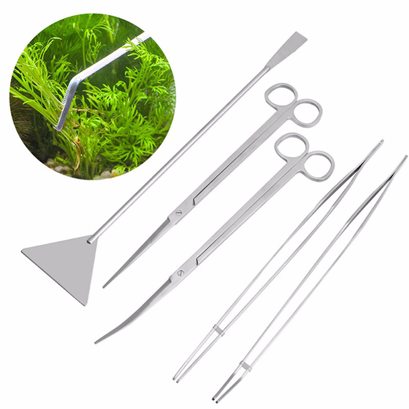 Set Peralatan Perawatan Akuari - Aquarium Plant Live ulasan dan harga