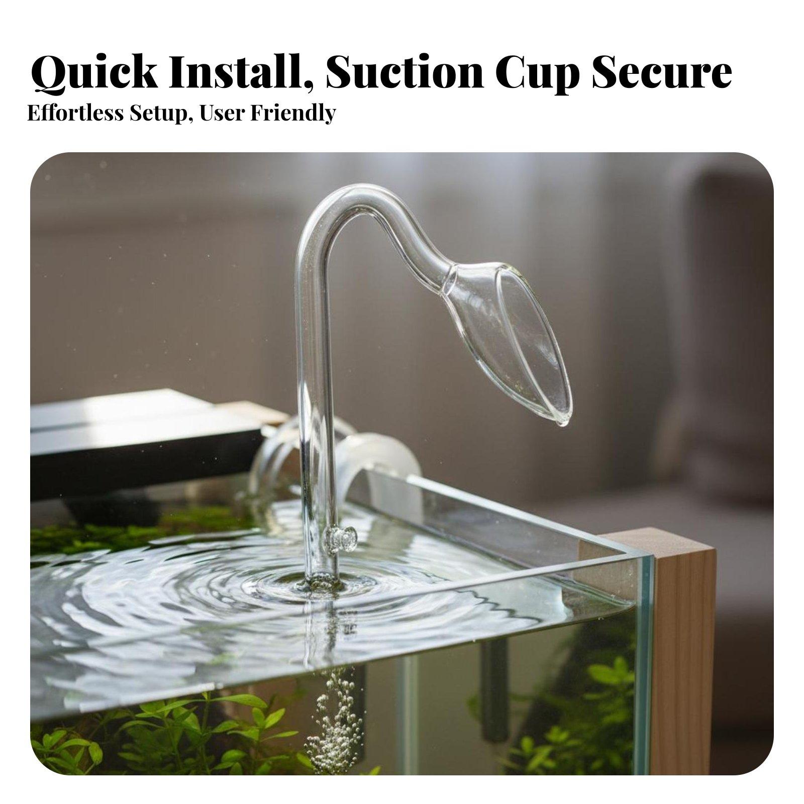 Akuarium Kaca dengan Tingkat K - Aquarium Planted Setup ulasan dan harga