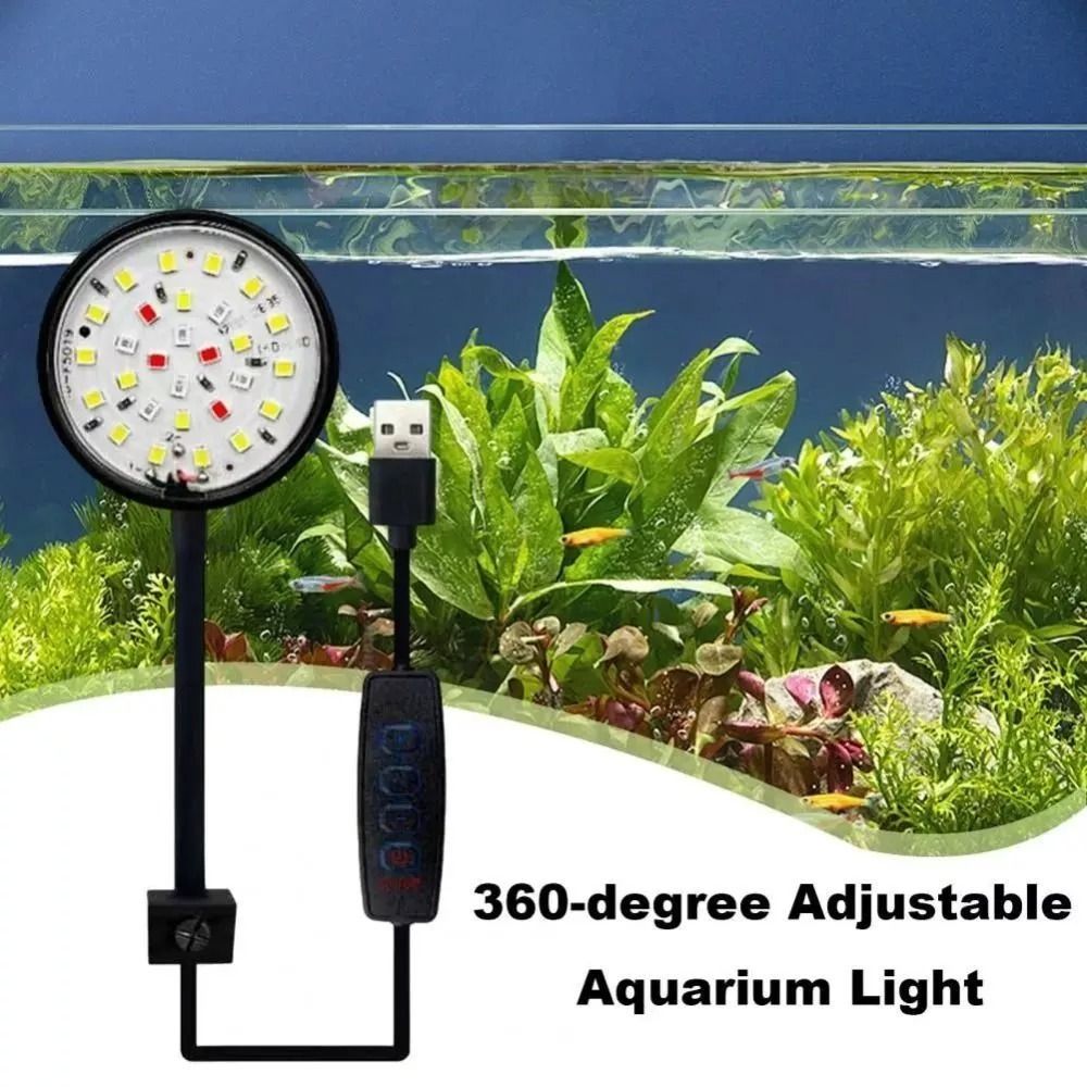 Lampu klip tangki ikan Mini, l - Aquarium Plant Live ulasan dan harga