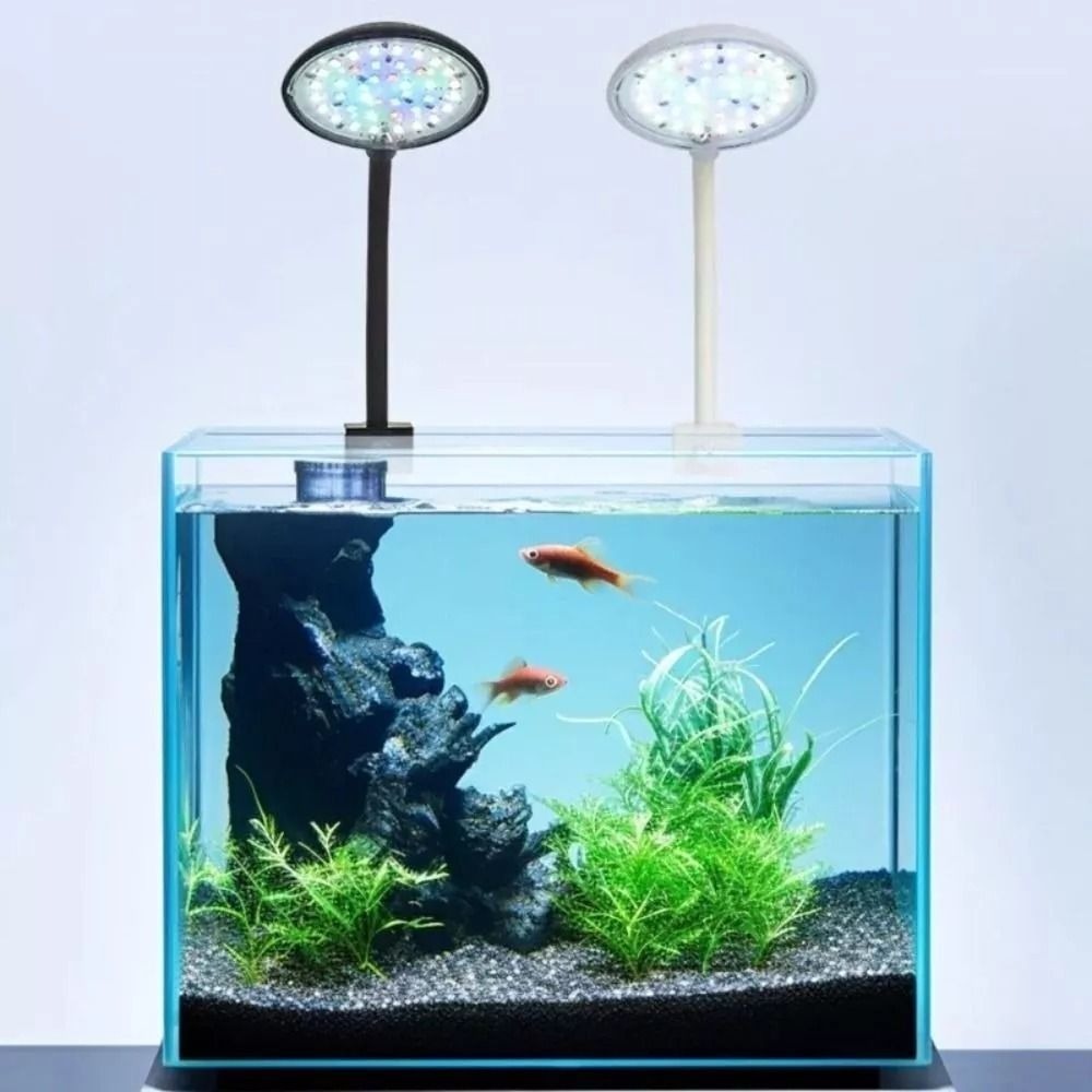 Lampu klip tangki ikan Mini, l - Aquarium Plant Live ulasan dan harga