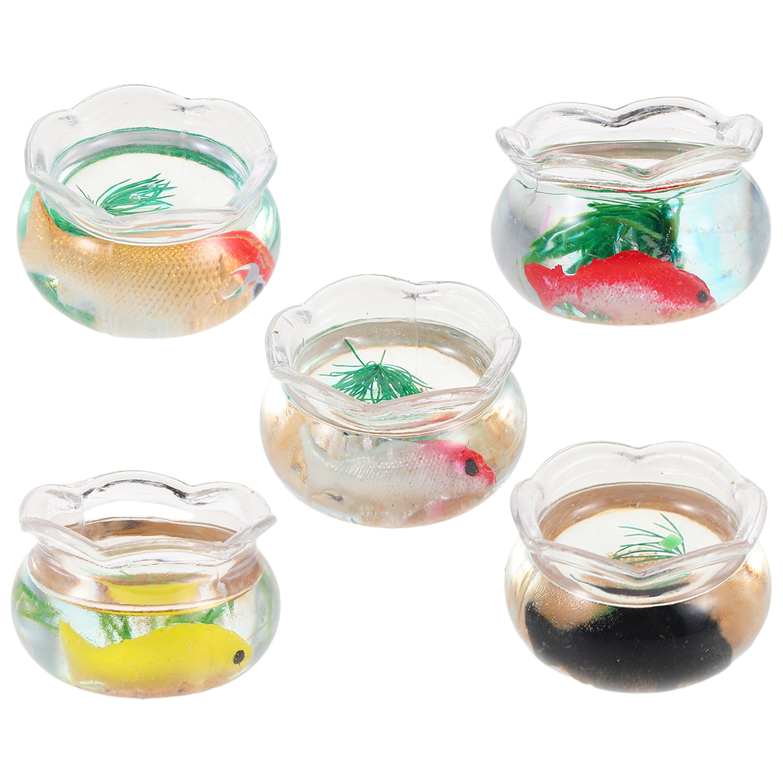 5 Buah Akuarium Ikan Mini, Ben - Aquarium Planting ulasan dan harga