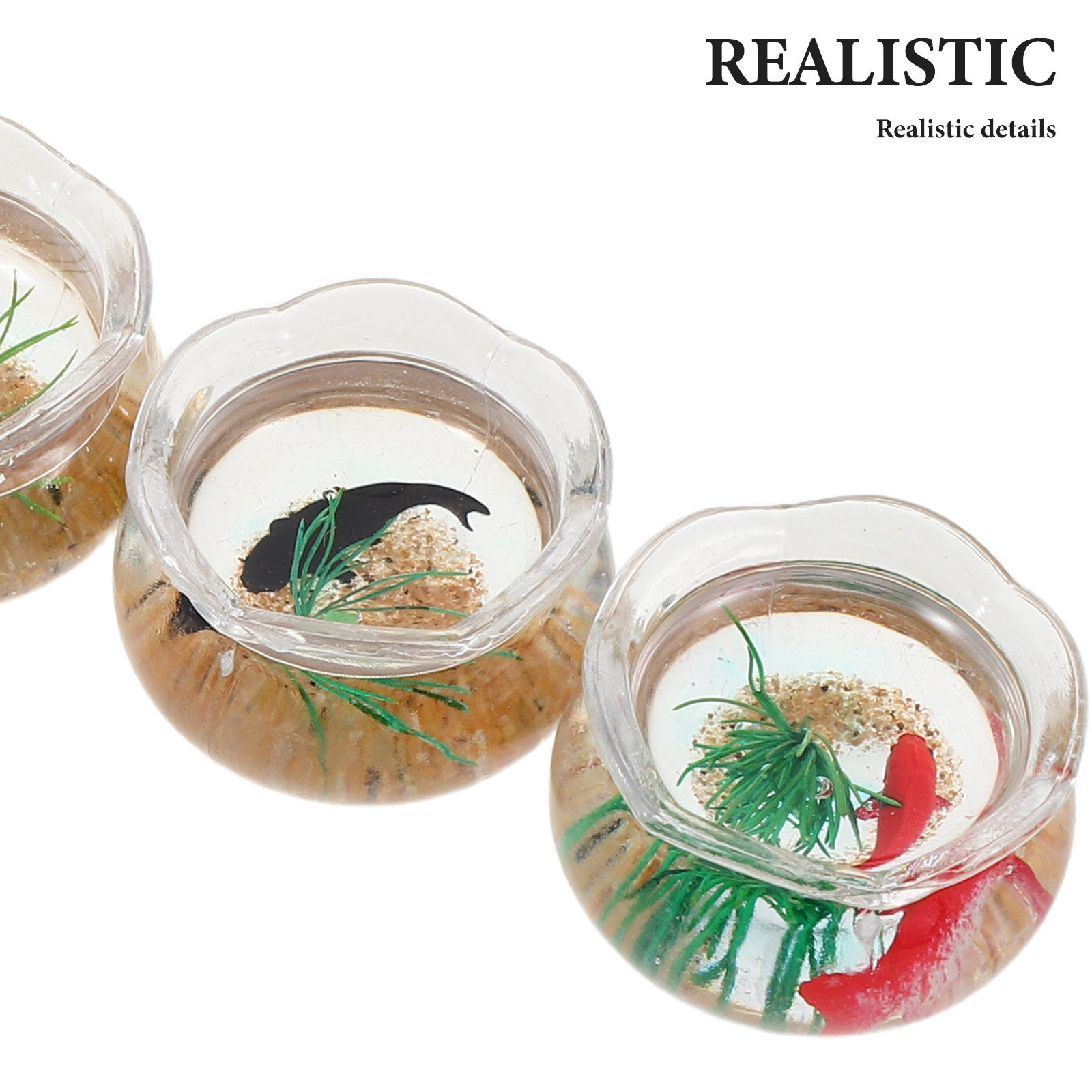5 Buah Akuarium Ikan Mini, Ben - Aquarium Planting ulasan dan harga