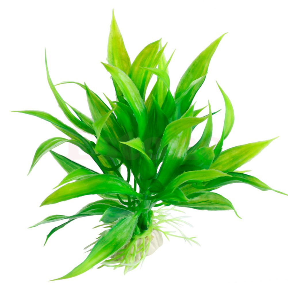 15CM/10CM Ornamen Tanaman Air  - Aquarium Plant Live ulasan dan harga