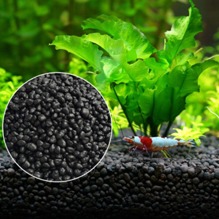Bibit Tanaman Akuarium Tanah T - Aquarium For Planted Tank ulasan dan harga