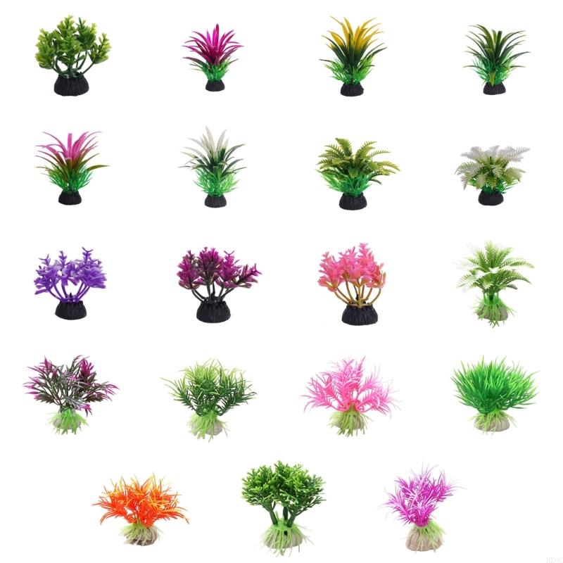 Dekorasi Tanaman Air Akuarium  - Planted Aquarium Models ulasan dan harga
