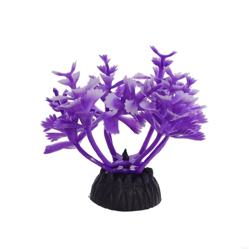 Dekorasi Tanaman Air Akuarium  - Planted Aquarium Models ulasan dan harga