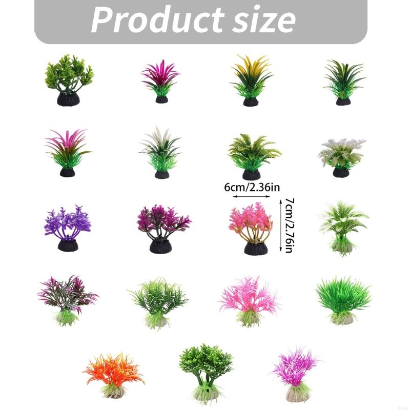 Dekorasi Tanaman Air Akuarium  - Planted Aquarium Models ulasan dan harga