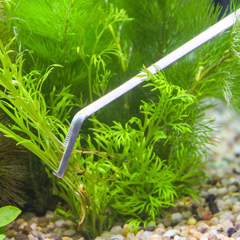 Set Peralatan Pembersih dan Pe - Planted Aquarium Models ulasan dan harga