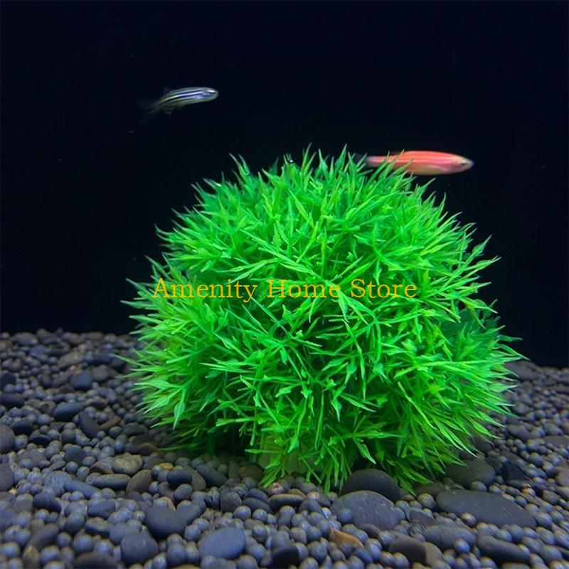 F26C Marimo Buatan Hijau untuk - Aquarium Plant Roots ulasan dan harga