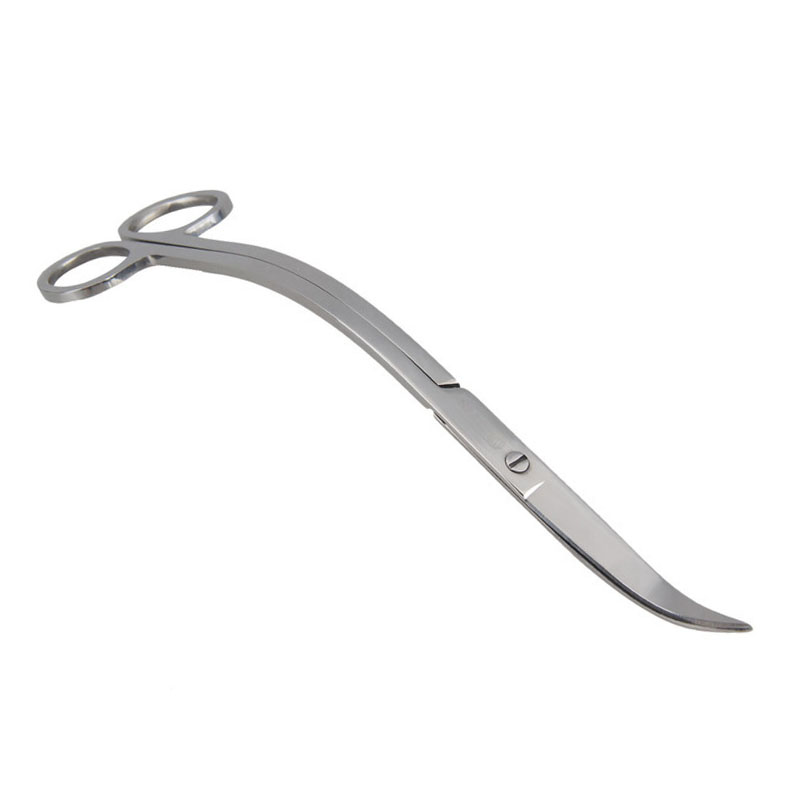 Set gunting bulu akuarium Stai - Trimming Scissor Set ulasan dan harga