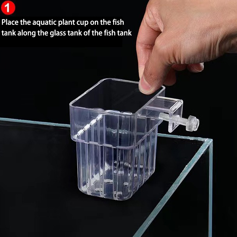 Akuarium ikan multifungsi cang - Aquarium For Planted Tank ulasan dan harga
