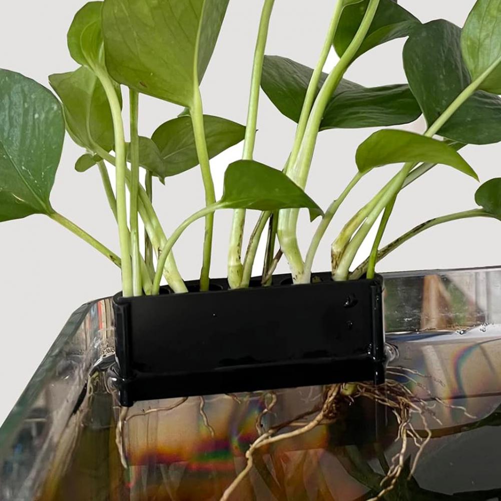 Tanaman Abs mendukung untuk ta - Aquarium For Planted Tank ulasan dan harga