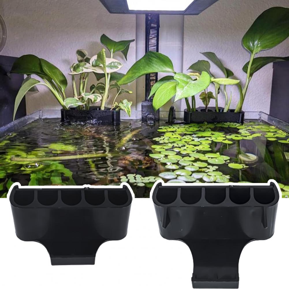 Tanaman Abs mendukung untuk ta - Aquarium For Planted Tank ulasan dan harga
